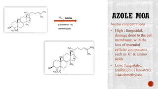 Invitro concentrations
• High : fungicidal,
damage done to the cell
membrane, with the
loss of essential
cellular components
such as K+ & amino
acids
• Low: fungistatic,
Inhibition of lanosterol
14a-demethylase
 
