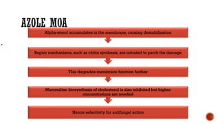 Alpha-sterol accumulates in the membrane, causing destabilization
Repair mechanisms, such as chitin synthesis, are initiated to patch the damage
This degrades membrane function further
Mammalian biosynthesis of cholesterol is also inhibited but higher
concentrations are needed
Hence selectivity for antifungal action
 