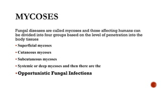 Fungal diseases are called mycoses and those affecting humans can
be divided into four groups based on the level of penetration into the
body tissues
▪ Superficial mycoses
▪ Cutaneous mycoses
▪ Subcutaneous mycoses
▪ Systemic or deep mycoses and then there are the
▪Opportunistic Fungal Infections
 