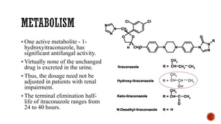 ▪ One active metabolite - 1-
hydroxyitraconazole, has
significant antifungal activity.
▪ Virtually none of the unchanged
drug is excreted in the urine.
▪ Thus, the dosage need not be
adjusted in patients with renal
impairment.
▪ The terminal elimination half-
life of itraconazole ranges from
24 to 40 hours.
 