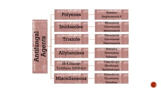 Antifungal
Agents
Polyenes
Nystatin
Amphotericin-B
Triazole
Flucanazole
Itraconazole
Posoconazole
Imidazoles
Miconazole
Clotrimazole
ketoconazole
Allylamines
Naftinibe
Terbinafine
Tolfanate
Β-Glucan
Synthase Inhibitor
Caspofungin
Micafungin
Anidulafungin
Miscellaneous
Griesofulvin
Flucytosine
Tolnaftate
 