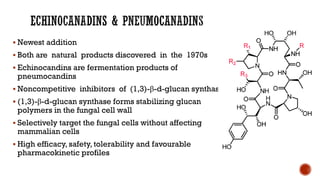 ▪ Newest addition
▪ Both are natural products discovered in the 1970s
▪ Echinocandins are fermentation products of
pneumocandins
▪ Noncompetitive inhibitors of (1,3)-β-d-glucan synthase
▪ (1,3)-β-d-glucan synthase forms stabilizing glucan
polymers in the fungal cell wall
▪ Selectively target the fungal cells without affecting
mammalian cells
▪ High efficacy, safety, tolerability and favourable
pharmacokinetic profiles
 