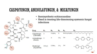 • Semisynthetic echinocandins
• Used in treating life-threatening systemic fungal
infections
 