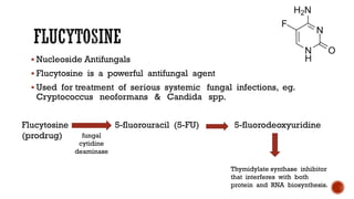▪ Nucleoside Antifungals
▪ Flucytosine is a powerful antifungal agent
▪ Used for treatment of serious systemic fungal infections, eg.
Cryptococcus neoformans & Candida spp.
Flucytosine 5-fluorouracil (5-FU) 5-fluorodeoxyuridine
(prodrug) fungal
cytidine
deaminase
Thymidylate synthase inhibitor
that interferes with both
protein and RNA biosynthesis.
 