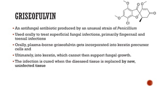 GRISEOFULVIN
▪ An antifungal antibiotic produced by an unusual strain of Penicillium
▪ Used orally to treat superficial fungal infections, primarily fingernail and
toenail infections
▪ Orally, plasma-borne griseofulvin gets incorporated into keratin precursor
cells and
▪ Ultimately, into keratin, which cannot then support fungal growth.
▪ The infection is cured when the diseased tissue is replaced by new,
uninfected tissue
 