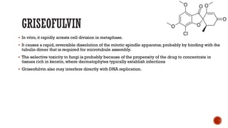 GRISEOFULVIN
▪ In vitro, it rapidly arrests cell division in metaphase.
▪ It causes a rapid, reversible dissolution of the mitotic spindle apparatus, probably by binding with the
tubulin dimer that is required for microtubule assembly.
▪ The selective toxicity to fungi is probably because of the propensity of the drug to concentrate in
tissues rich in keratin, where dermatophytes typically establish infections
▪ Griseofulvin also may interfere directly with DNA replication.
 