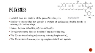 ▪ Isolated from soil bacteria of the genus Streptomyces.
▪ Similar to macrolides but contain a system of conjugated double bonds in
macrocyclic lactone rings.
▪ Hence, they are called the polyene antibiotics.
▪ Two groups on the basis of the size of the macrolide ring.
▪ The 26-membered–ring polyenes eg. natamycin (pimaricin),
▪ The 38-membered macrocycles eg. amphotericin B and nystatin
 