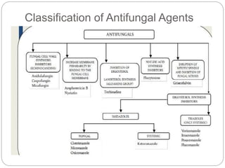 Classification of Antifungal Agents
 