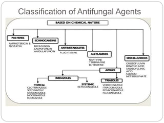 Classification of Antifungal Agents
 