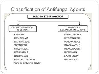 Classification of Antifungal Agents
 