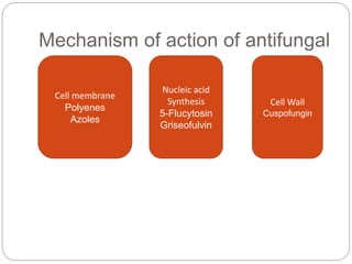 Mechanism of action of antifungal
Cell membrane
Polyenes
Azoles
Nucleic acid
Synthesis
5-Flucytosin
Griseofulvin
Cell Wall
Cuspofungin
 