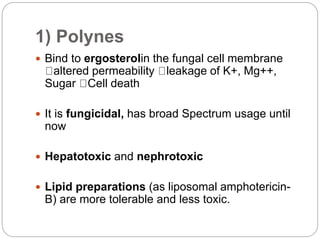 1) Polynes
 Bind to ergosterolin the fungal cell membrane
altered permeability leakage of K+, Mg++,
Sugar Cell death
 It is fungicidal, has broad Spectrum usage until
now
 Hepatotoxic and nephrotoxic
 Lipid preparations (as liposomal amphotericin-
B) are more tolerable and less toxic.
 