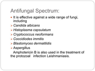 Antifungal Spectrum:
 It is effective against a wide range of fungi,
including
 Candida albicans
 Histoplasma capsulatum
 Cryptococcus neoformans
 Coccidiodes immitis
 Blastomyces dermatitidis
 Aspergillus
Amphotericin B is also used in the treatment of
the protozoal infection Leishmaniasis.
 