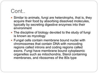 Cont..
 Similar to animals, fungi are heterotrophs, that is, they
acquire their food by absorbing dissolved molecules,
typically by secreting digestive enzymes into their
environment
 The discipline of biology devoted to the study of fungi
is known as mycology
 Fungal cells contain membrane bound nuclei with
chromosomes that contain DNA with noncoding
regions called introns and coding regions called
exons. Fungi have membrane bound cytoplasmic
organelles such as mitochondria, Sterol containing
membranes, and ribosomes of the 80s type
 