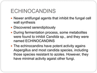 ECHINOCANDINS
 Newer antifungal agents that inhibit the fungal cell
wall synthesis
 Discovered serendipitously
 During fermentation process, some metabolites
were found to inhibit Candida sp., and they were
named ECHINOCANDINS
 The echinocandins have potent activity agains
Aspergillus and most candida species, including
those species resistant to azoles. However, they
have minimal activity agaist other fungi.
 