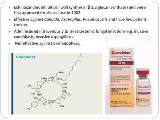  Echinocandins inhibit cell wall synthesis (β 1,3 glucan synthase) and were
first approved for clinical use in 2002.
 Effective against Candida, Aspergillus, Pneumocystis and have low patient
toxicity.
 Administered intravenously to treat systemic fungal infections e.g. invasive
candidiasis, invasive aspergillosis.
 Not effective against dermatophyes.
 