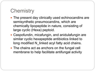 Chemistry
 The present day clinically used echinocandins are
semisynthetic pneumocandins, which are
chemically lipopeptide in nature, consisting of
large cyclic (Hexa) peptoid.
 Caspofundin, micafungin, and anidulafungin are
similar cyclic hexapeptide antibiotics linked to
long modified N_linked acyl fatty acid chains.
 The chains act as anchors on the fungal cell
membrane to help facilitate antifungal activity
 