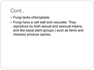 Cont..
 Fungi lacks chloroplasts
 Fungi have a cell wall and vacuoles. They
reproduce by both sexual and asexual means,
and like basal plant groups ( such as ferns and
mosses) produce spores.
 