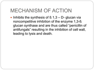 MECHANISM OF ACTION
 Inhibits the synthesis of ß 1,3 – D- glucan via
noncompetitive inhibition of the enzyme 1,3-ß
glucan synthase and are thus called “penicillin of
antifungals” resulting in the inhibition of cell wall,
leading to lysis and death.
 