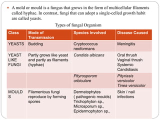  A mold or mould is a fungus that grows in the form of multicellular filaments
called hyphae. In contrast, fungi that can adopt a single-celled growth habit
are called yeasts.
Types of fungal Organism
Class Mode of
Transmission
Species Involved Disease Caused
YEASTS Budding Cryptococcus
neoformans
Meningitis
YEAST
LIKE
FUNGI
Partly grows like yeast
and partly as filaments
(hyphae)
Candida albicans Oral thrush
Vaginal thrush
Systemic
Candidiasis
Pityrosporom
orbiculare
Pityriasis
versicolor
Tinea versicolor
MOULD
S
Filamentous fungi
reproduce by forming
spores
Dermatophytes
( pathogenic moulds)
Trichophyton sp.,
Microsporum sp.,
Epidermophyton sp.,
Skin / nail
infections
 