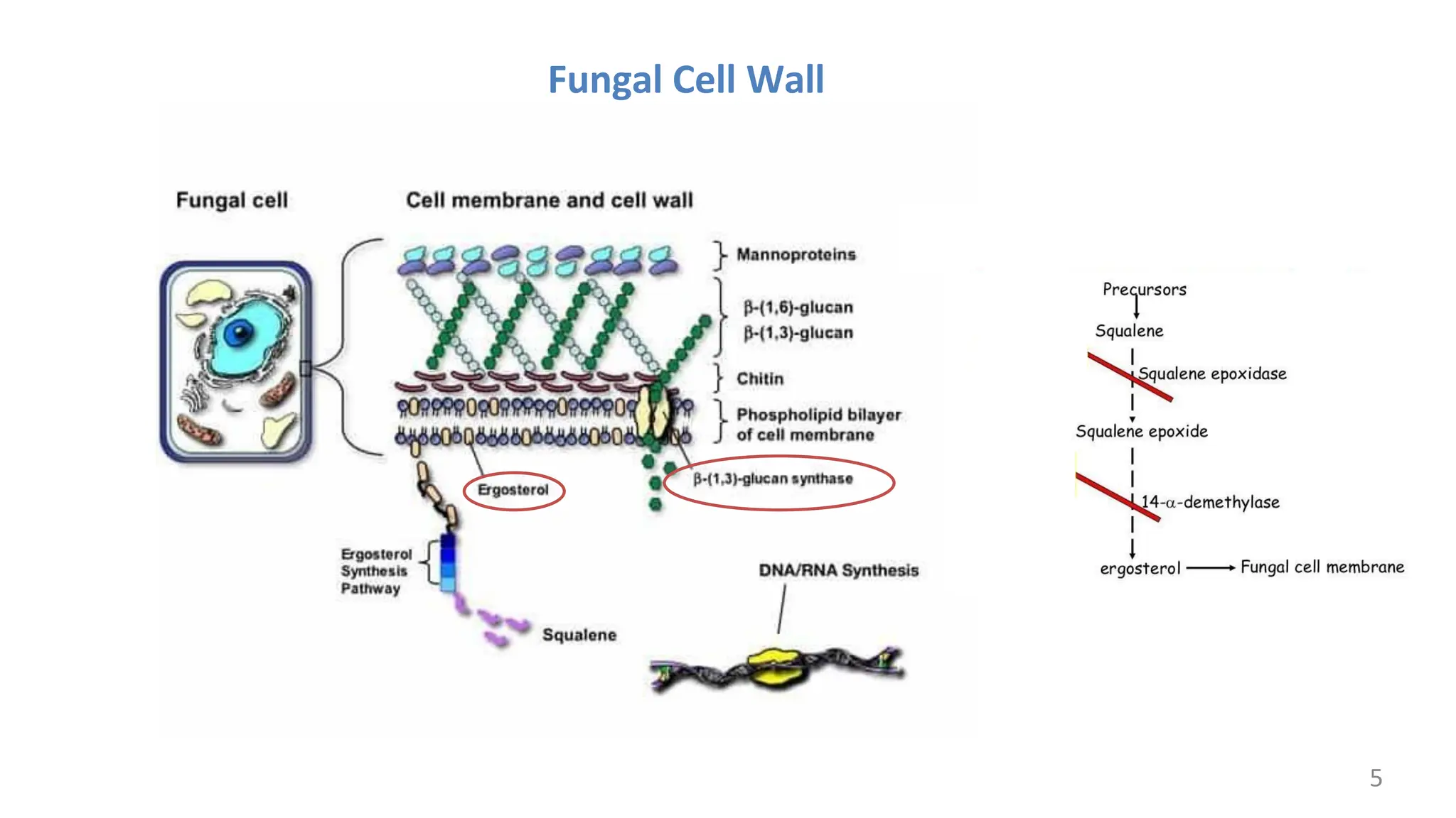 Classification visual data 8