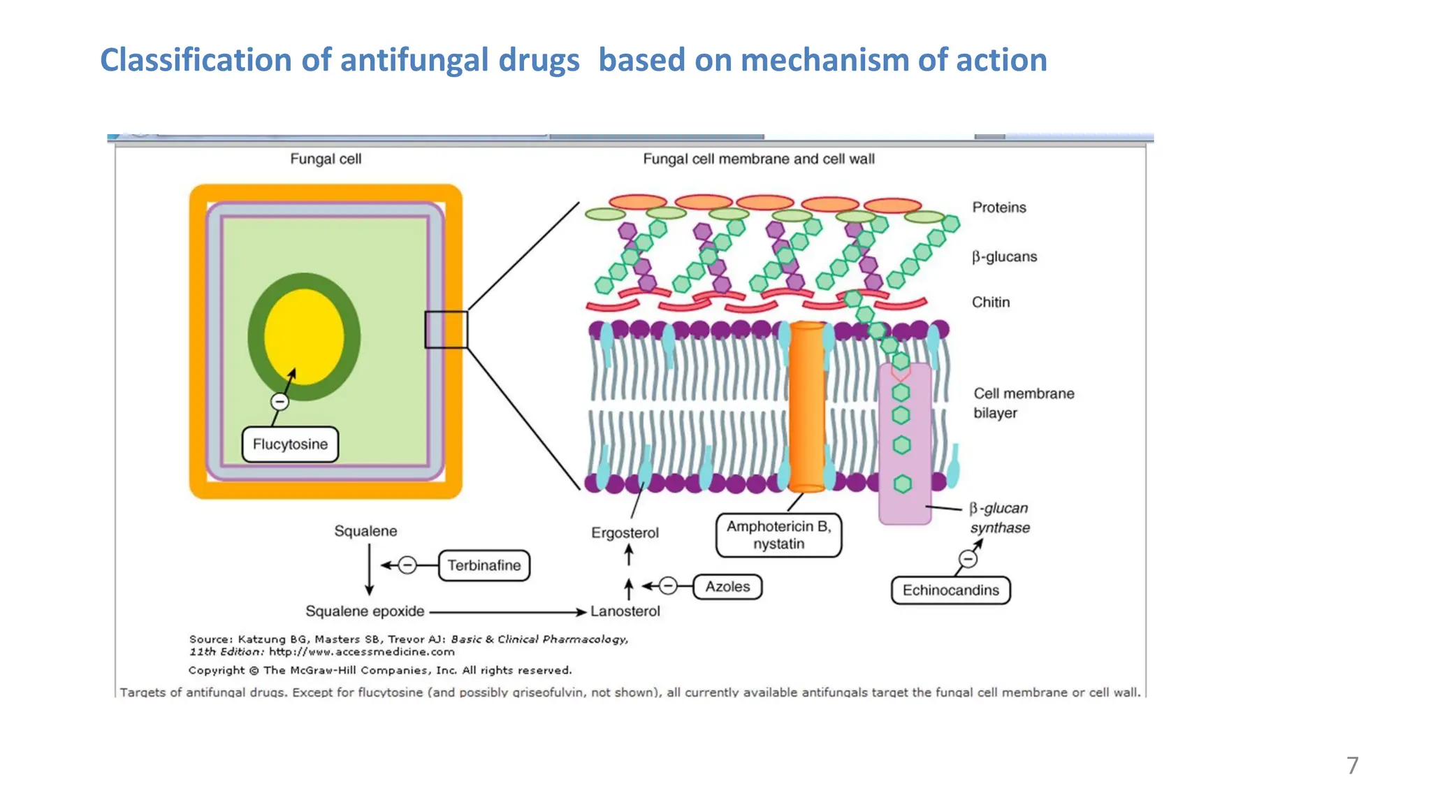 Classification visual data 5