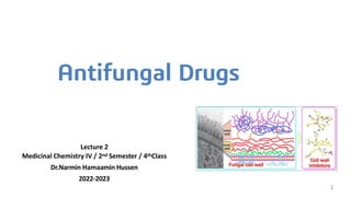 Antifungal Drugs
Lecture 2
Medicinal Chemistry IV / 2nd Semester / 4thClass
Dr.Narmin Hamaamin Hussen
2022-2023
1
 