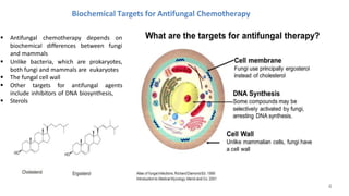 Biochemical Targets for Antifungal Chemotherapy
▪ Antifungal chemotherapy depends on
biochemical differences between fungi
and mammals
▪ Unlike bacteria, which are prokaryotes,
both fungi and mammals are eukaryotes
▪ The fungal cell wall
▪ Other targets for antifungal agents
include inhibitors of DNA biosynthesis,
▪ Sterols
4
 