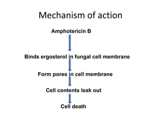 Mechanism of action
          Amphotericin B



Binds ergosterol in fungal cell membrane


     Form pores in cell membran...