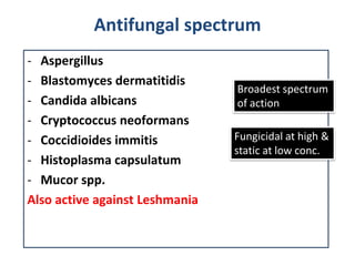 Antifungal spectrum
- Aspergillus
- Blastomyces dermatitidis
                                Broadest spectrum
- Candida a...