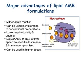 Major advantages of lipid AMB
         formulations
                                           Macrophage
 Milder acute r...
