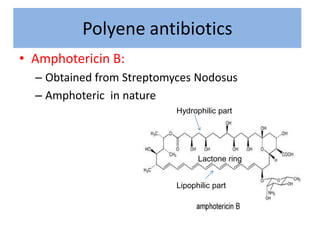 Polyene antibiotics
• Amphotericin B:
  – Obtained from Streptomyces Nodosus
  – Amphoteric in nature
                    ...