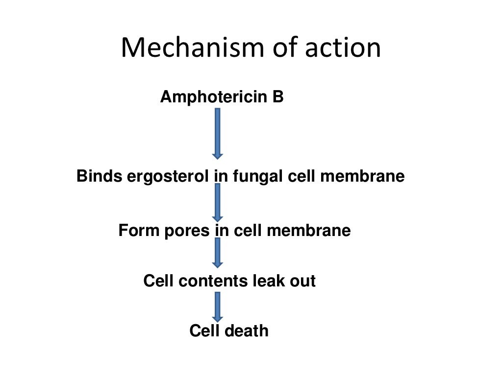 Antifungal drugs