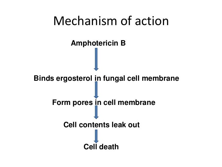 Antifungal drugs