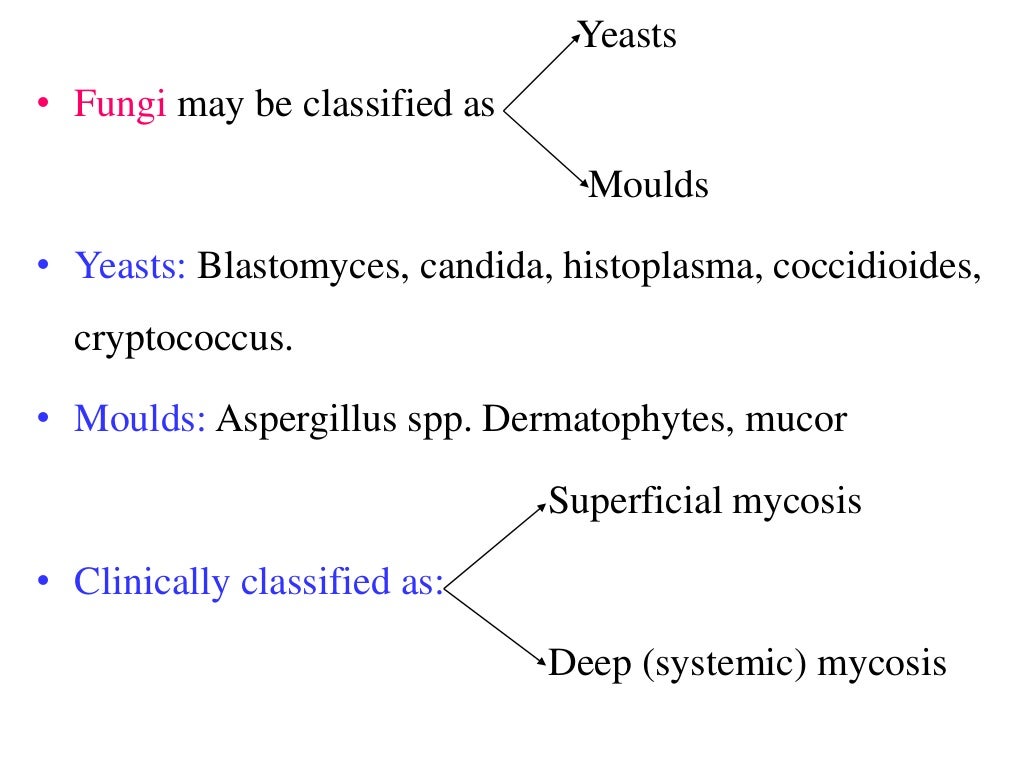 Antifungal drugs