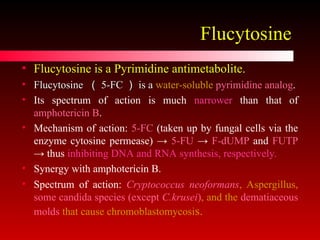 Comprehensive Overview of Antifungal Agents and Fungal Infections | PPT