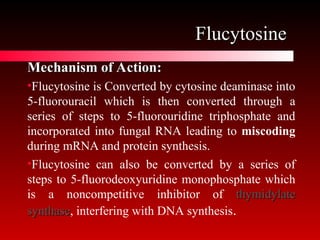 Comprehensive Overview of Antifungal Agents and Fungal Infections | PPT