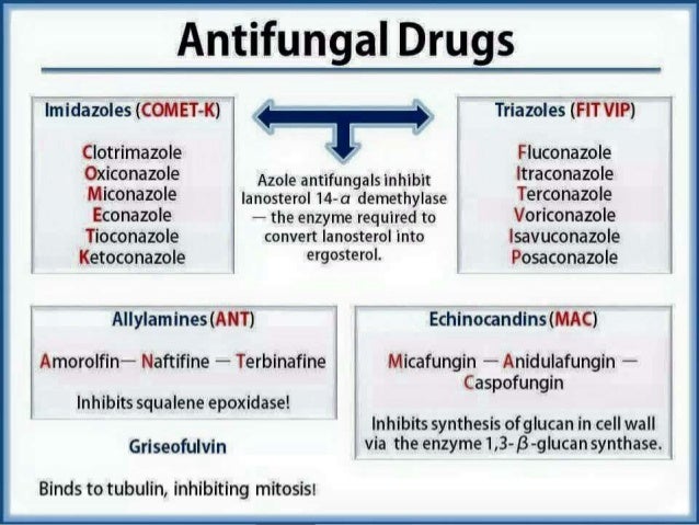 Antifungal Drugs