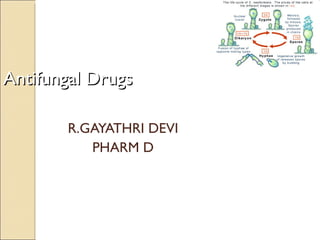 R.GAYATHRI DEVI PHARM D Antifungal Drugs 