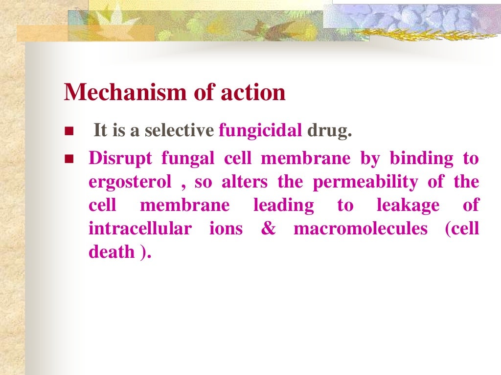 Antifungal drugs