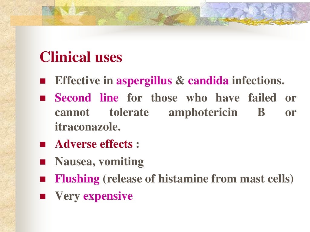 Antifungal drugs