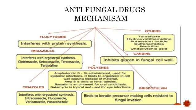Antifungal drugs