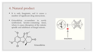 Griseofulvin
4. Natural product
§ It is only fungistatic, and it causes a
number of significant drug interactions.
§ Griseofulvin accumulates in newly
synthesized, keratin-containing tissue,
where it causes disruption of the mitotic
spindle and inhibition of fungal mitosis.
16
 