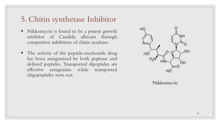Nikkomycin
§ Nikkomycin is found to be a potent growth
inhibitor of Candida albicans through
competitive inhibition of chitin synthase.
§ The activity of the peptide-nucleoside drug
has been antagonized by both peptone and
defined peptides. Transported dipeptides are
effective antagonists while transported
oligopeptides were not.
5. Chitin synthetase Inhibitor
17
 