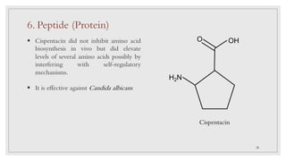 Cispentacin
§ Cispentacin did not inhibit amino acid
biosynthesis in vivo but did elevate
levels of several amino acids possibly by
interfering with self-regulatory
mechanisms.
§ It is effective against Candida albicans
6. Peptide (Protein)
18
H2N
OHO
 