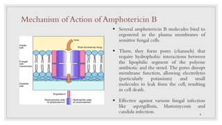 § Several amphotericin B molecules bind to
ergosterol in the plasma membranes of
sensitive fungal cells.
§ There, they form pores (channels) that
require hydrophobic interactions between
the lipophilic segment of the polyene
antibiotic and the sterol. The pores disrupt
membrane function, allowing electrolytes
(particularly potassium) and small
molecules to leak from the cell, resulting
in cell death.
§ Effective against various fungal infection
like aspergillosis, blastomycosis and
candida infection.
Mechanism of Action of Amphotericin B
8
 