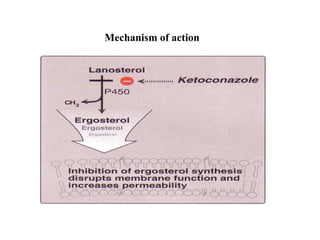 Mechanism of action
 