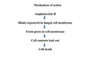 Mechanism of action
Amphotericin B
Binds ergosterol in fungal cell membrane
Form pores in cell membrane
Cell contents leak out
Cell death
 