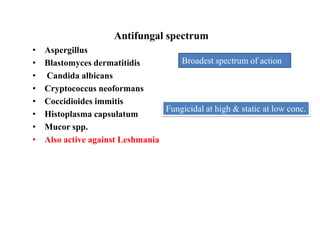Antifungal spectrum
• Aspergillus
• Blastomyces dermatitidis
• Candida albicans
• Cryptococcus neoformans
• Coccidioides immitis
• Histoplasma capsulatum
• Mucor spp.
• Also active against Leshmania
Broadest spectrum of action
Fungicidal at high & static at low conc.
 
