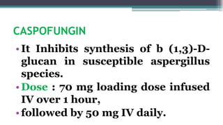 CASPOFUNGIN
•It Inhibits synthesis of b (1,3)-D-
glucan in susceptible aspergillus
species.
•Dose : 70 mg loading dose infused
IV over 1 hour,
•followed by 50 mg IV daily.
 